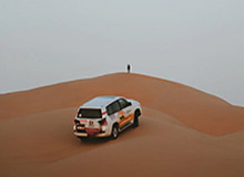 当年某某药酒真的抓了谭秦东，但这次西贝不可能抓罗永浩