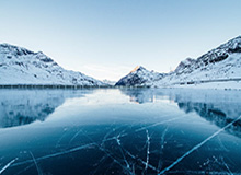 当年某某药酒真的抓了谭秦东，但这次西贝不可能抓罗永浩